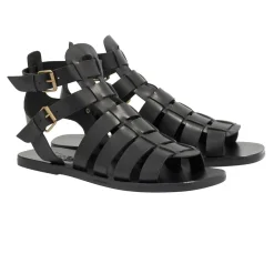 Alexandros Gladiators