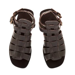 Sale Alexandros Gladiators
