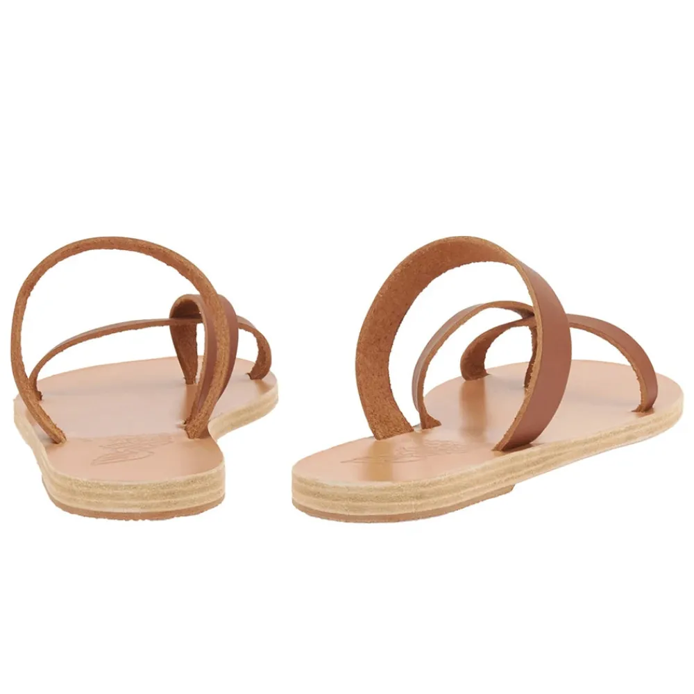 Daphnae Women Slides