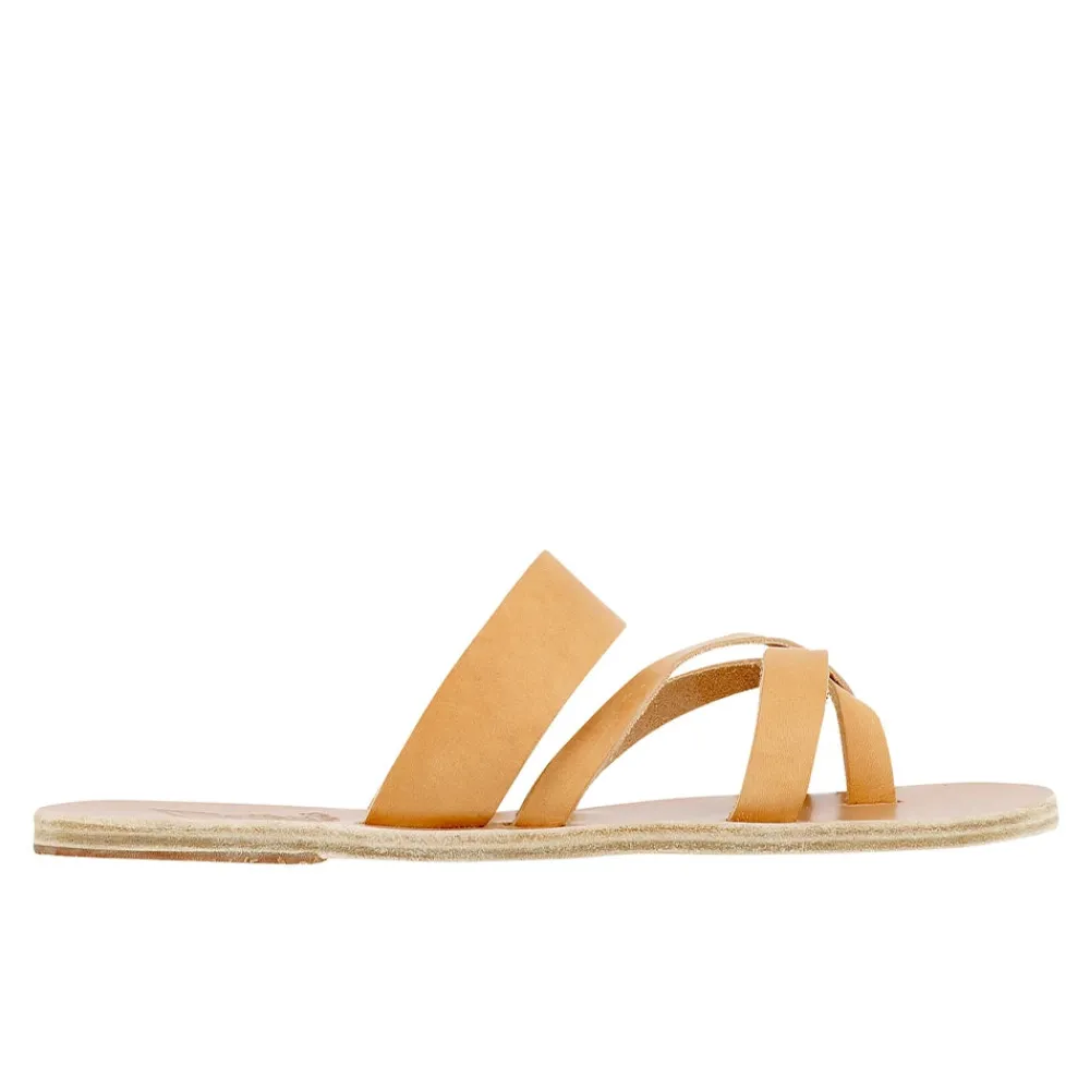 Online Jason Slides