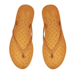 Jelly flip flop Women Thong-Strap |Thongs