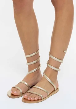 Sale Ofis Women Gladiators
